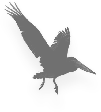 Image4